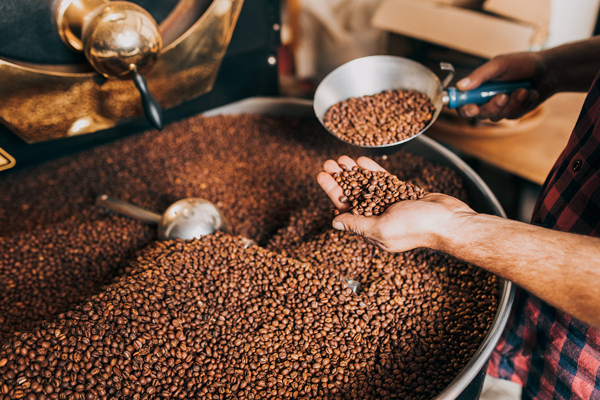 Frontier Coffee Company