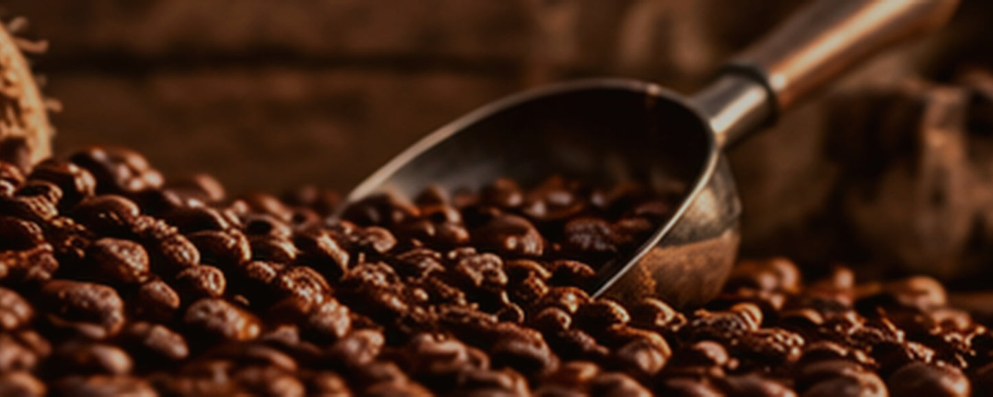 Frontier Coffee Company